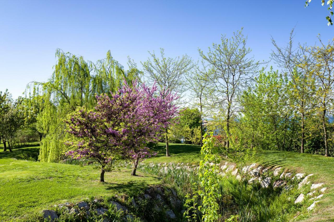 Parc Hotel Germano Suites & Apartments Bardolino Eksteriør billede